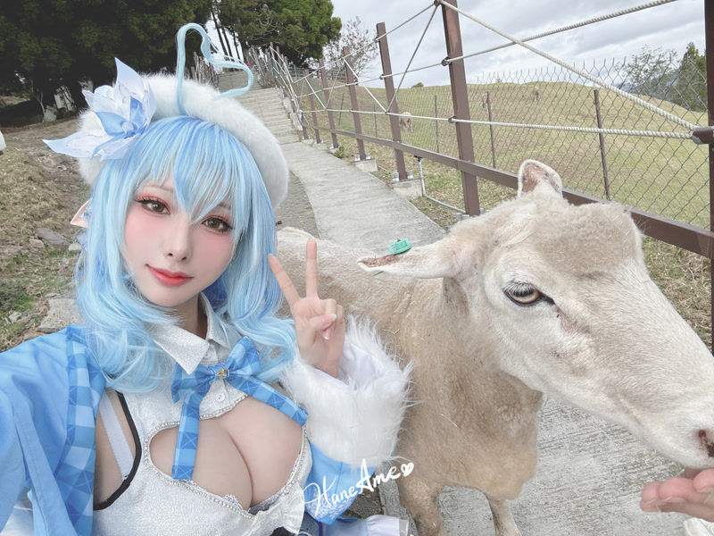 images_069