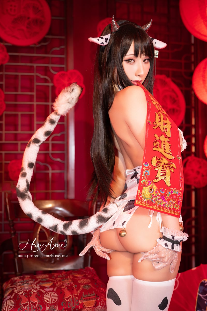 images_049