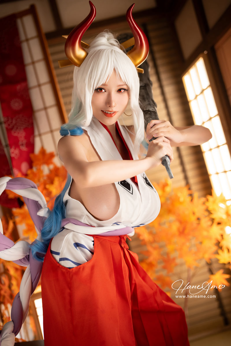 images_045