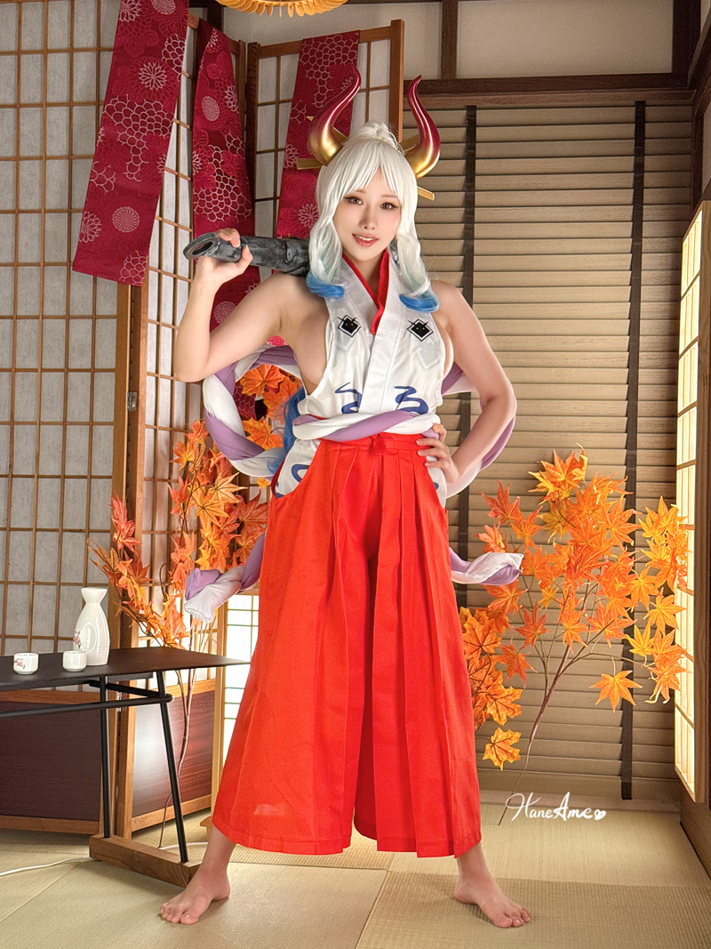 images_067