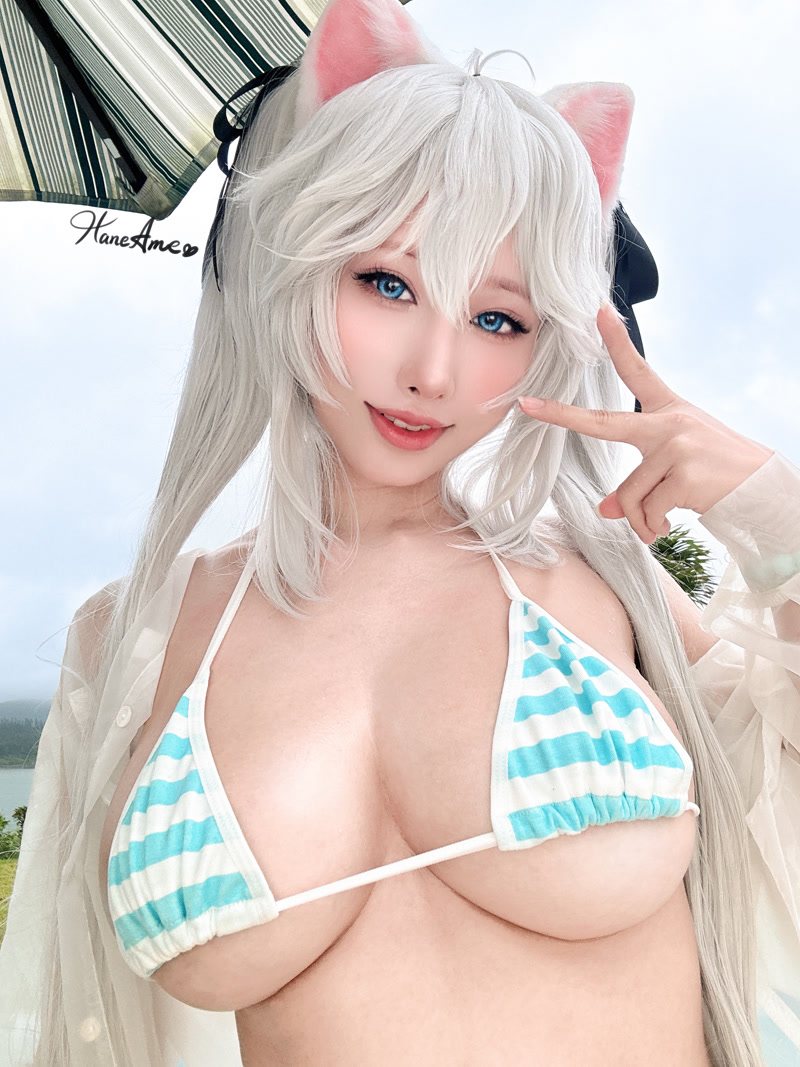 images_041