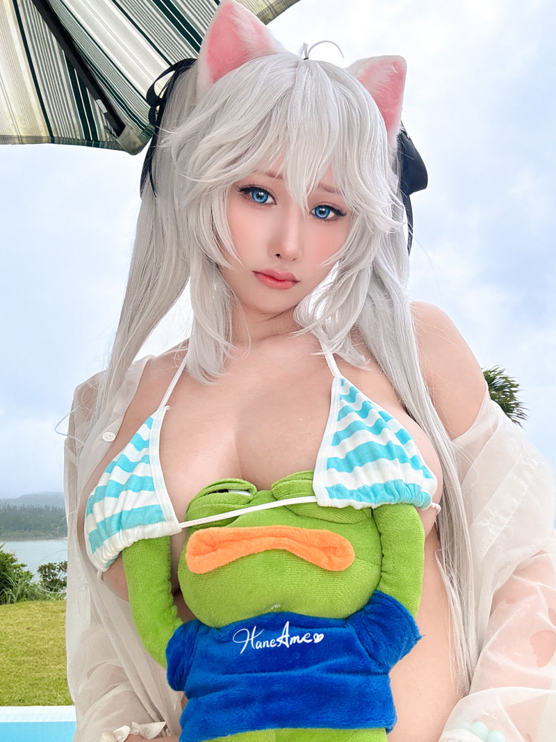 images_043