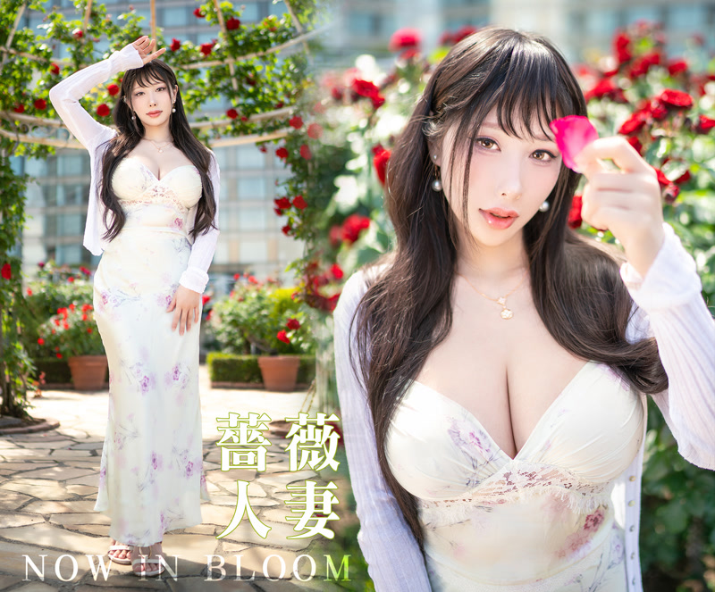 images_034