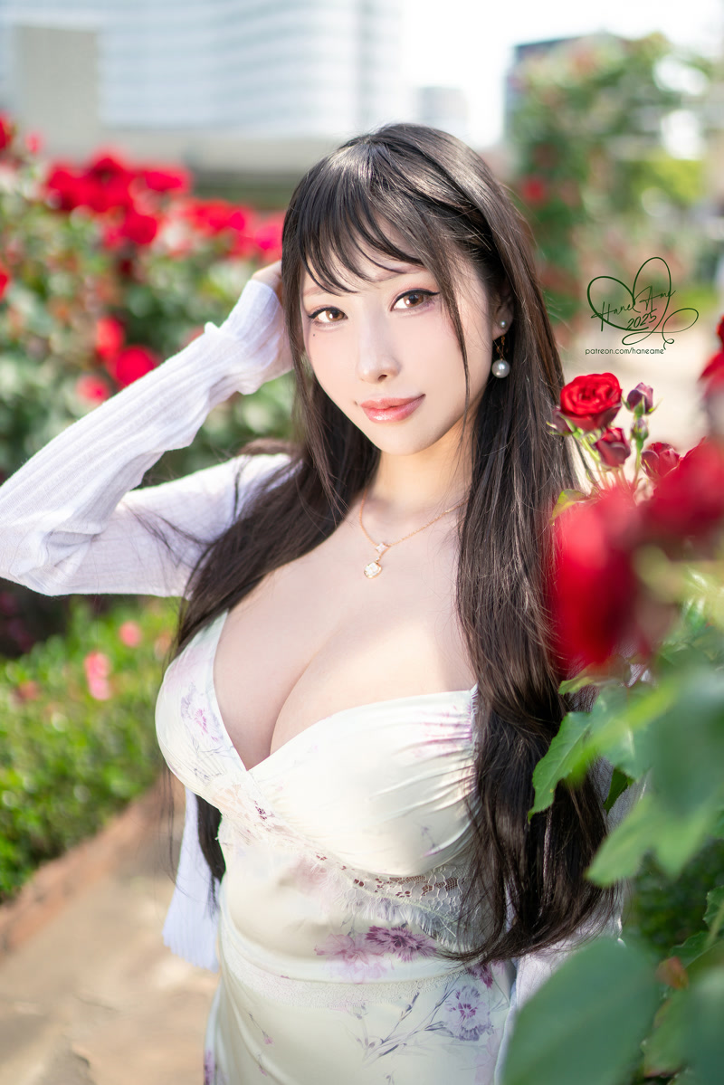 images_041