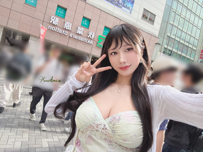 images_065